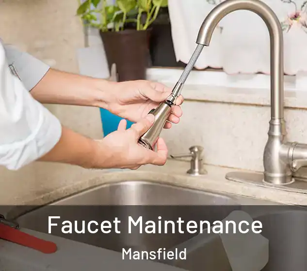  Faucet Maintenance Mansfield