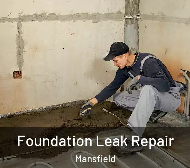  Foundation Leak Repair Mansfield