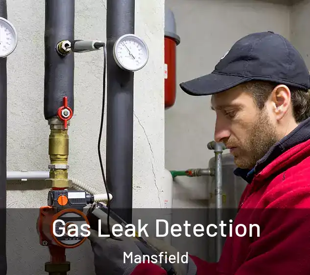  Gas Leak Detection Mansfield