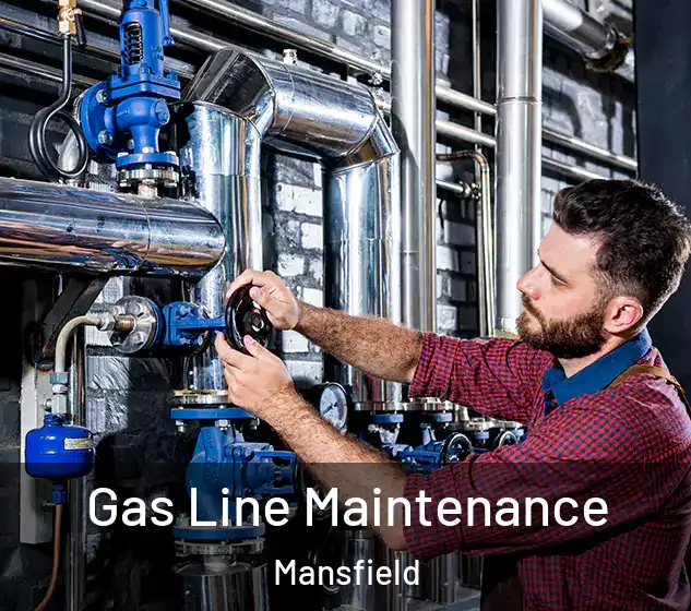  Gas Line Maintenance Mansfield