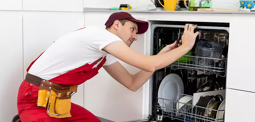 Scope of Kitchen Dishwasher Installation Services in Mansfield, TX