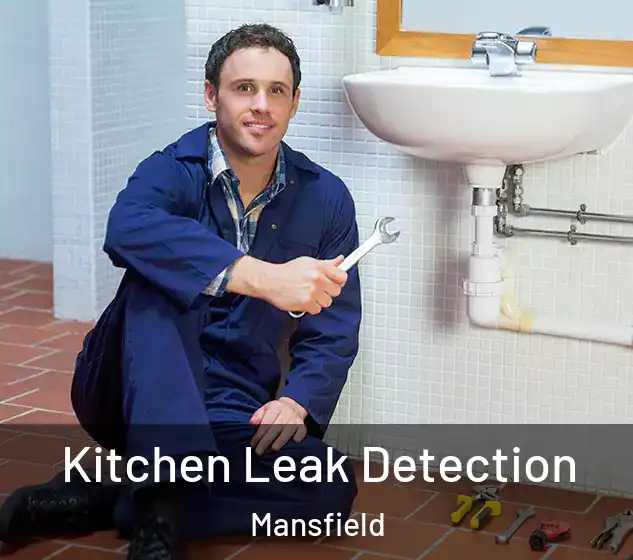  Kitchen Leak Detection Mansfield