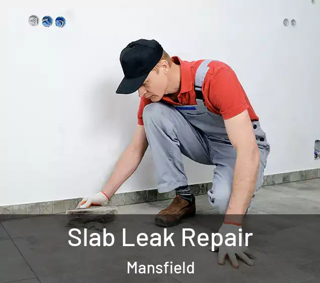  Slab Leak Repair Mansfield