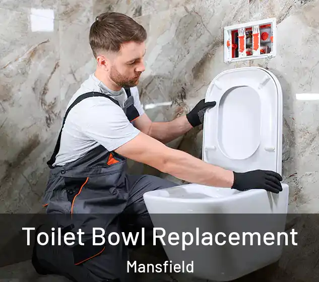  Toilet Bowl Replacement Mansfield